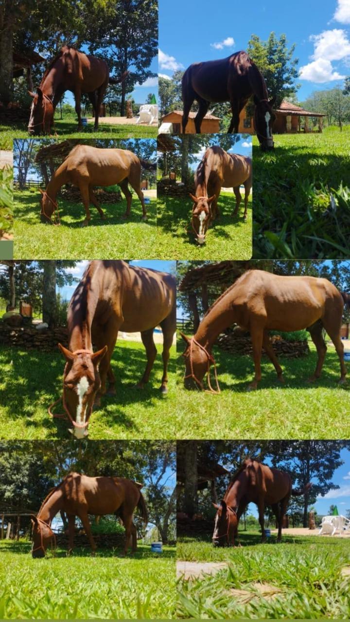 Recanto Do Baru Pirenopolis Bagian luar foto