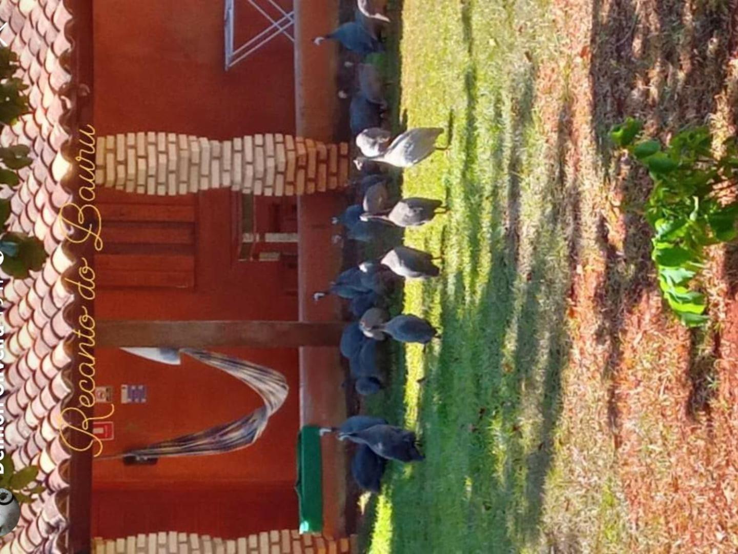 Recanto Do Baru Pirenopolis Bagian luar foto