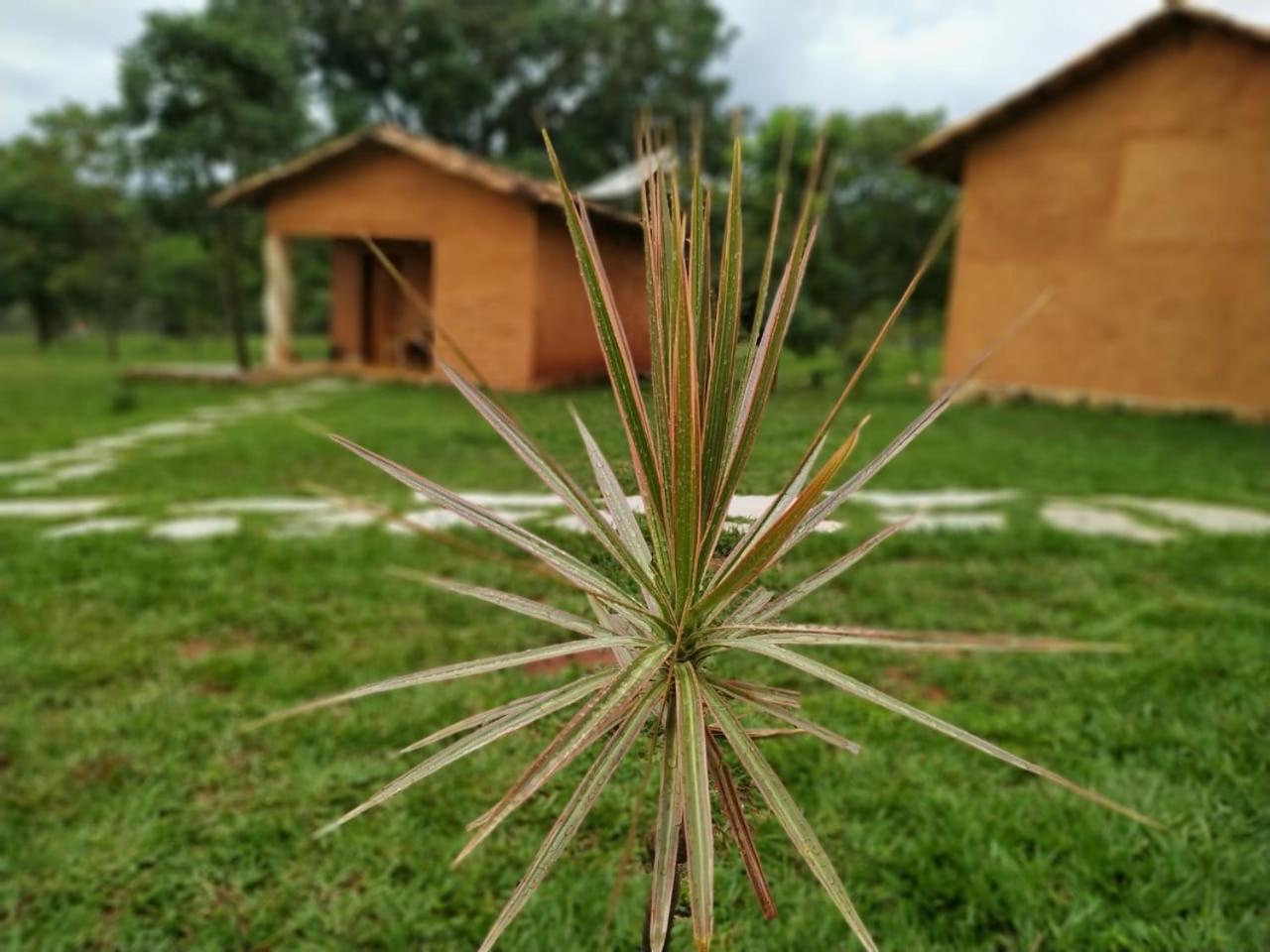 Recanto Do Baru Pirenopolis Bagian luar foto