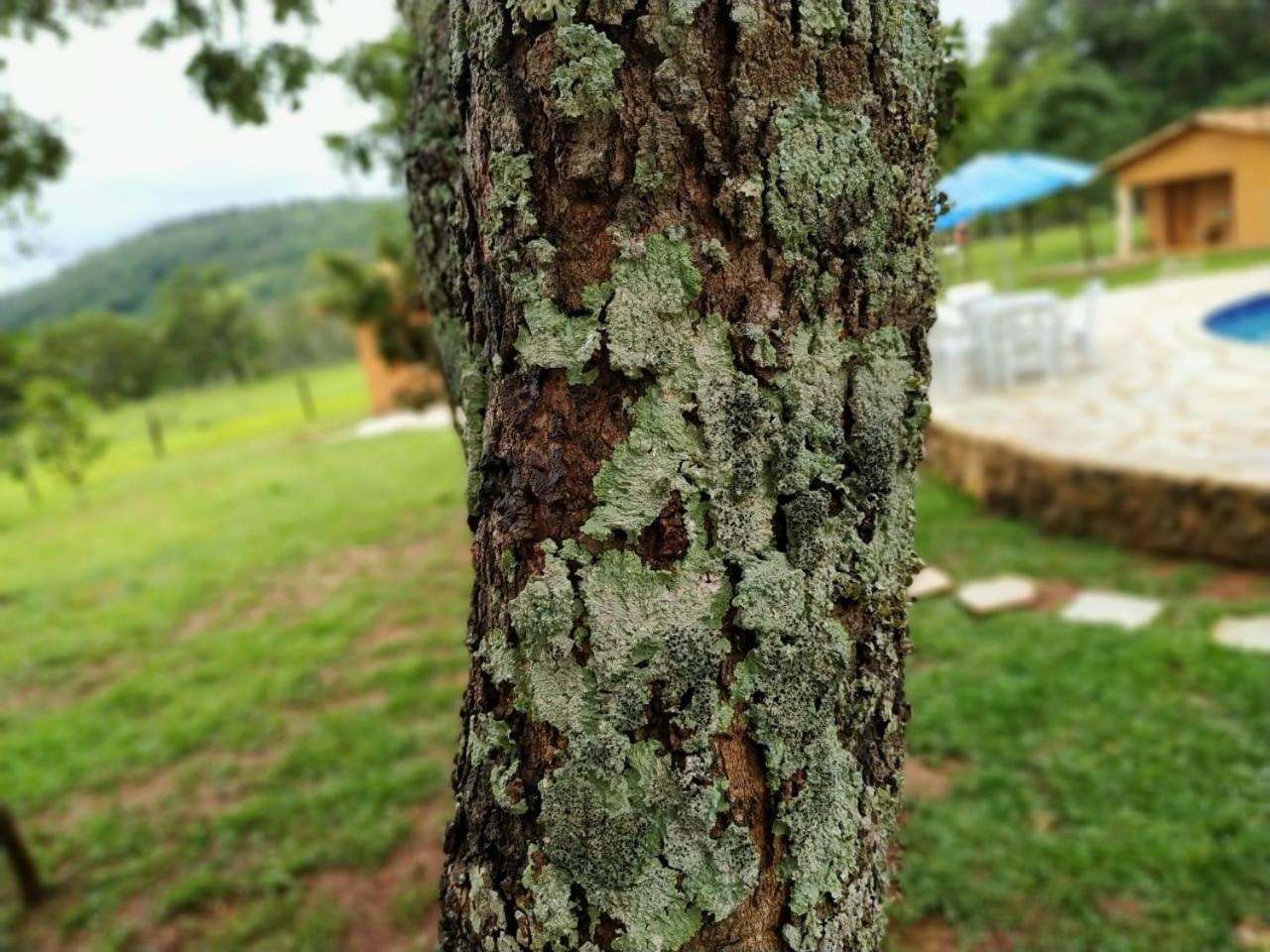 Recanto Do Baru Pirenopolis Bagian luar foto
