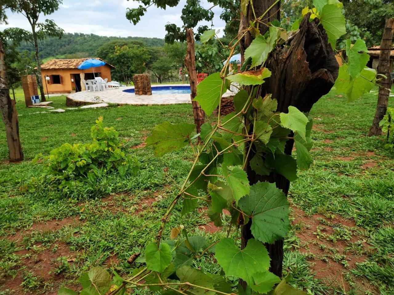 Recanto Do Baru Pirenopolis Bagian luar foto